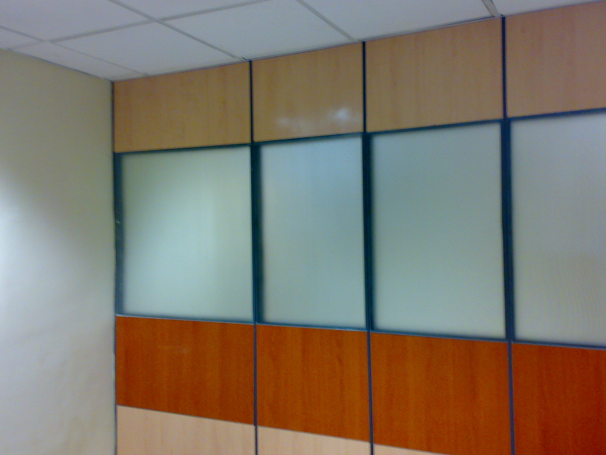 Frosted Glass Modular Partition